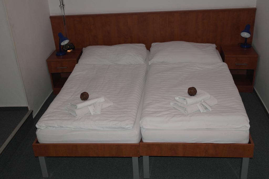 Wellness Hotel Harrachovka 部屋 写真